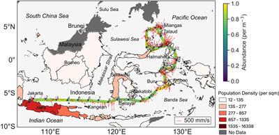 Microplastic occurrence in sub-surface waters of the Indonesian archipelago